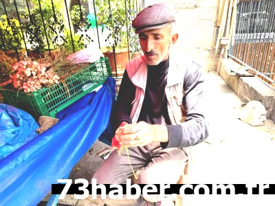 Şırnak Dağlarının Sırrı: Doğal Şifa Kaynağı Bitki!