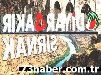 Şırnak'tan Diyarbakır'a Transfer: Görev Değişikliği!