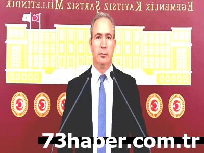 Şırnak'ta Ağaç Katliamı İddiası: Vekil İrmez'den Şok Açıklamalar!