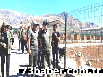 Şanlıurfa'da Sahipsiz Canlara Umut Eli: Müdür Mumcuoğlu Merkezde!