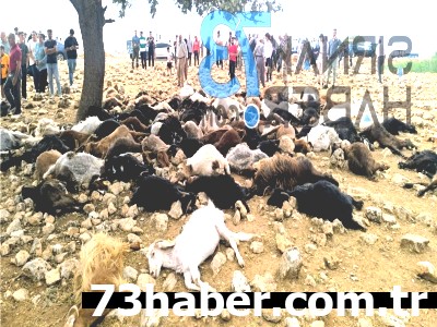 Şırnak'ta Yıldırım Felaketi: 99 Can Kaybı!