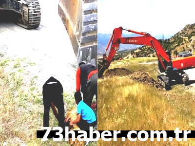 Şırnak’ta o yol için çalışmalar kurban kesilerek başladı