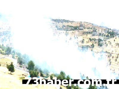 Şırnak Yanıyor! Merkezde Korkutan Yangın Tehlikesi!