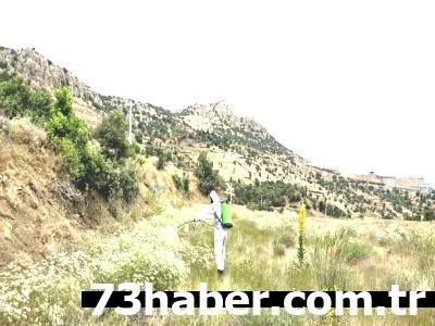 Şırnak'ta Dev Operasyon: 700 Dekar Alan İlaçlandı!