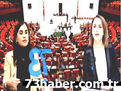 Şırnak Vekilleri Komisyonda! İşte TBMM'deki Yeni Görevler