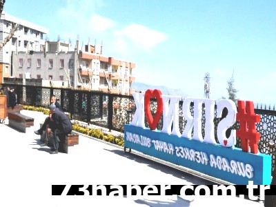 Şırnak'ta Şok: 2024'te 450 Can Alan Gizemli Hastalık!
