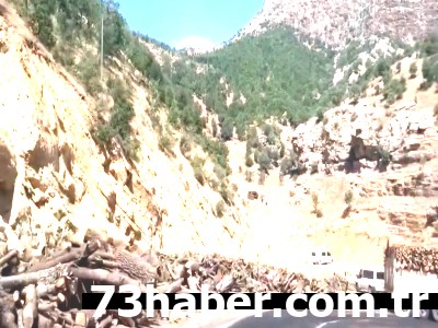 Şırnak'ta Ağaç Katliamı İddiası: Vekil Demir, Bakanı Sıkıştırdı!