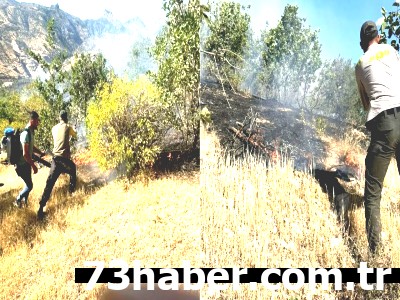 Cudi Dağı'ndaki Korkutan Yangın Sona Erdi!
