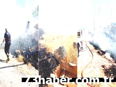 Şırnak'ta Korkutan Yangın! Köylere Ulaşmadan Kontrol Altında