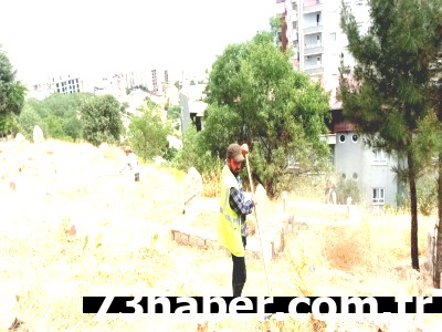 Şırnak'ta Kabir Ziyaretleri Öncesi Mezarlıklar Pırıl Pırıl!
