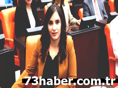 Şırnak'ta DEDAŞ Kabusu: Köy Muhtarları İcralık, Halk Susuz ve Karanlıkta!