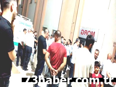Silopi'de Acı Kayıp: TIR Dehşeti Minik Yavruyu Hayattan Kopardı