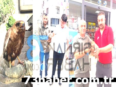 Şırnak'tan Umut Veren Haber: Yaralı Şahinler Yeniden Uçacak!