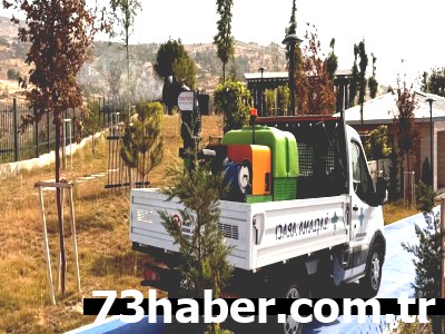 Şırnak'ta Kabus Bitiyor: Belediyeden Haşere Operasyonu!