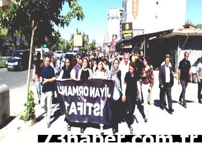 Silopi'de İstifa Krizi! Eylem Kontrolden Çıktı