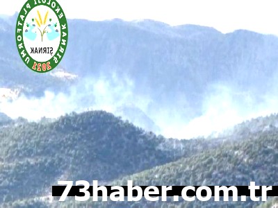 Gabar Yanıyor: Şırnak'tan Kritik Soru! Yangının Sırrı Ne?