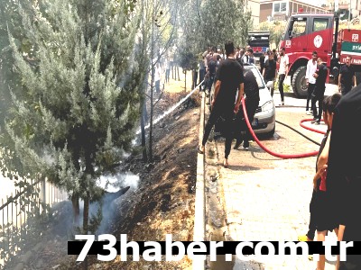 Şırnak'ta Alev Alarmı! Odunlar Tutuştu, Araçlar Kül Oldu!
