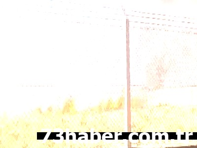 Şırnak Havalimanı Alevlere Teslim: Seferler Tehlikede mi?