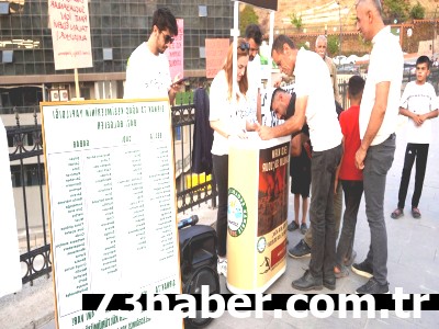 Şırnak'ta Ağaç Katliamına Büyük Tepki: 10 Günde Rekor İmza!