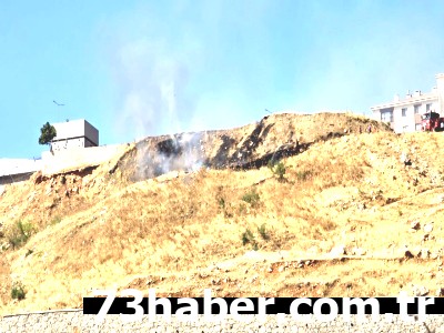 Şırnak'ta Korkutan Yangın: Alevler Kontrol Altında!