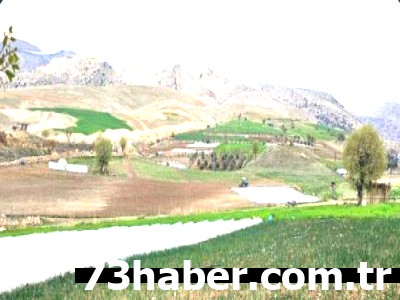 Şırnak'ta Yeni Fırsat Kapısı Aralanıyor! Başvurular Başladı!